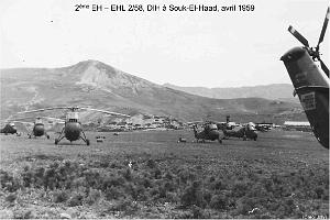204- ARMEE DE L'AIR EN ALGERIE 1945-1962-52 (136)
